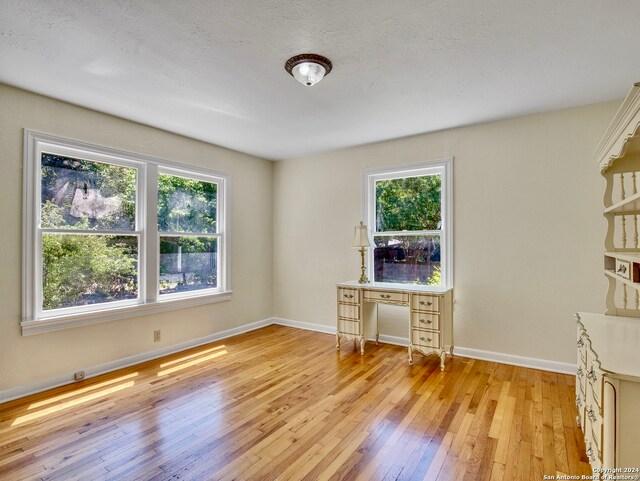 interior space featuring plenty of natural light and light hardwood / wood-style floors