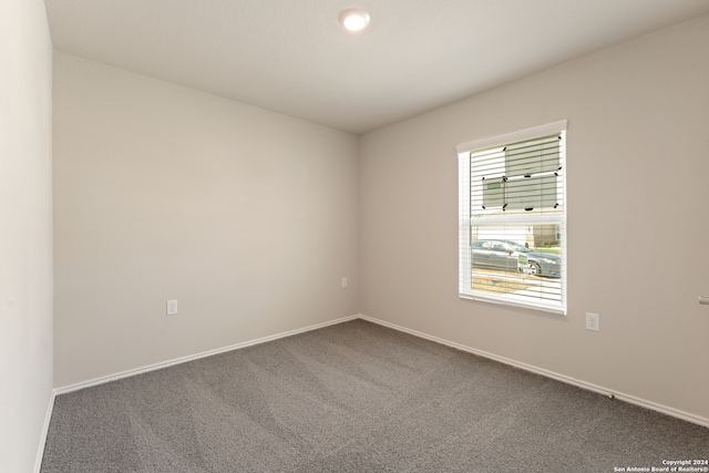 unfurnished room with carpet