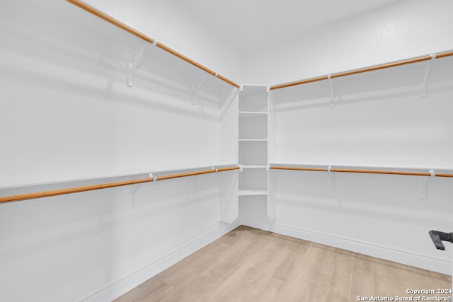 spacious closet featuring light hardwood / wood-style floors