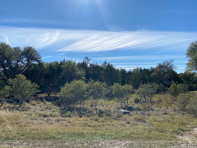 115 N John Bird, Blanco TX, 78606 land for sale