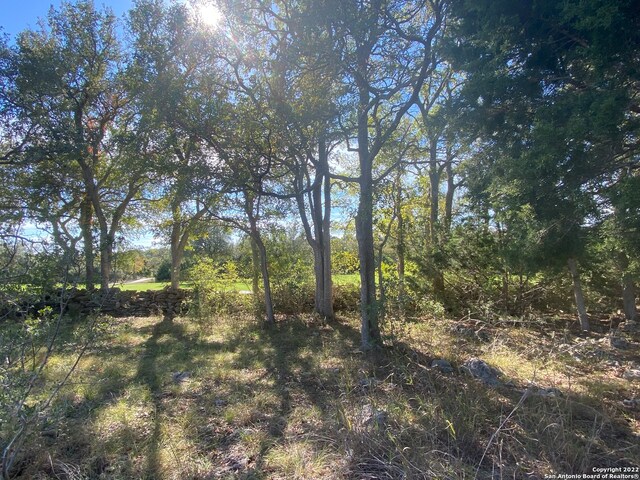 Listing photo 3 for 115 N John Bird, Blanco TX 78606