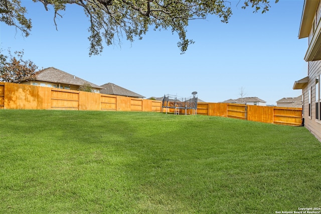 view of yard featuring a trampoline