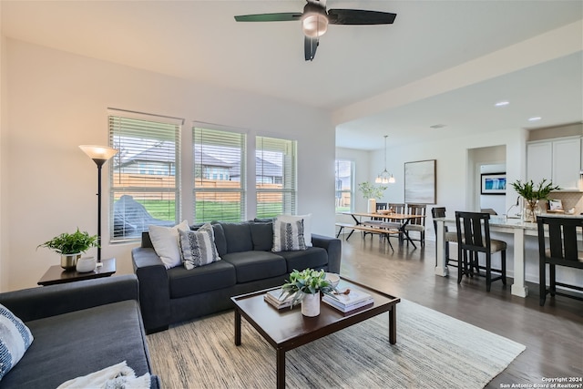 living room with dark hardwood / wood-style floors and ceiling fan with notable chandelier