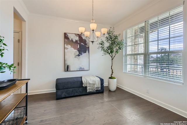 sitting room with an inviting chandelier, dark wood-type flooring, and ornamental molding