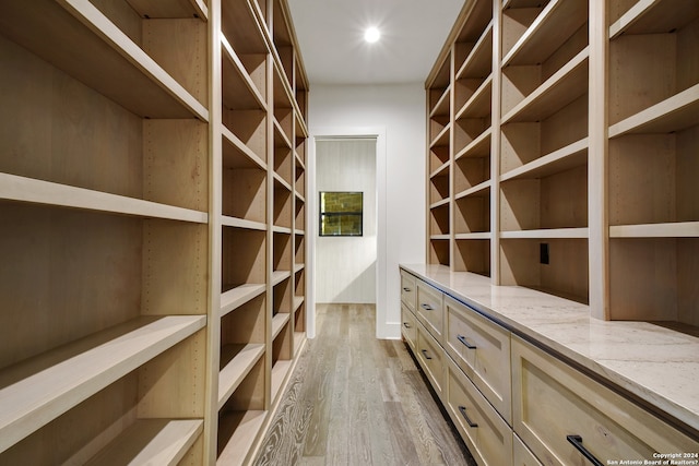 walk in closet featuring light hardwood / wood-style floors