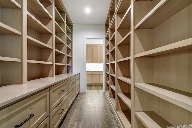 walk in closet featuring dark hardwood / wood-style flooring