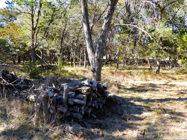 view of landscape