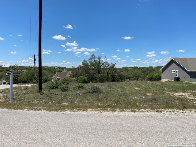 Listing photo 4 for 136 George Dolson, Blanco TX 78606