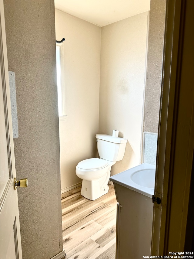 bathroom with toilet, vanity, and wood-type flooring