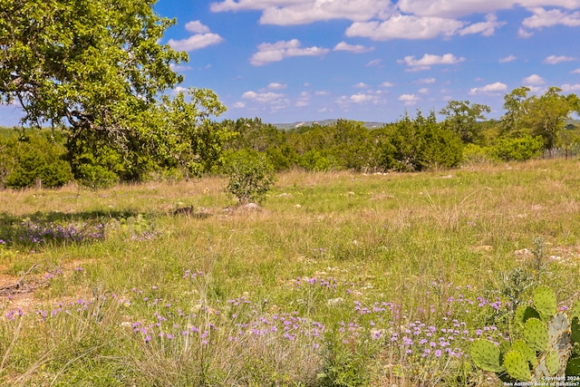 Listing photo 3 for 32568 Tierra Robles Dr, Bulverde TX 78163