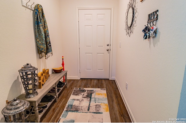 interior space with dark hardwood / wood-style flooring