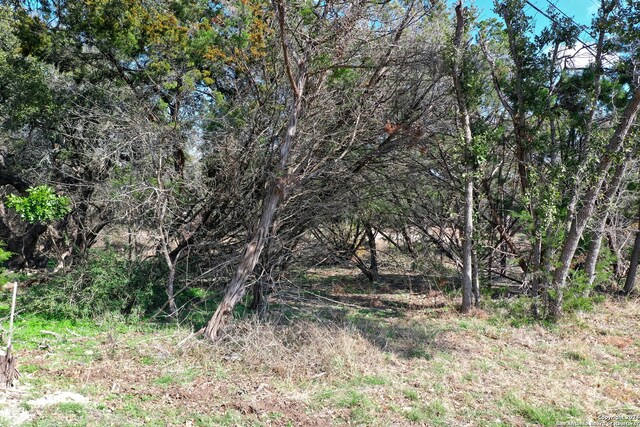 1220 Old Milton Dr, San Antonio, TX 78260