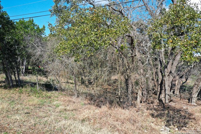 1220 Old Milton Dr, San Antonio, TX 78260
