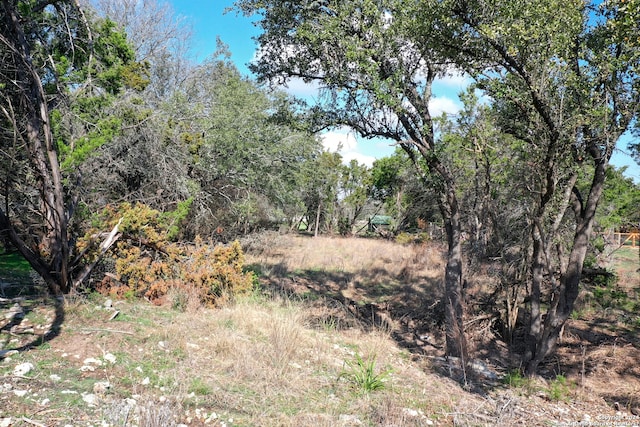 1220 Old Milton Dr, San Antonio, TX 78260