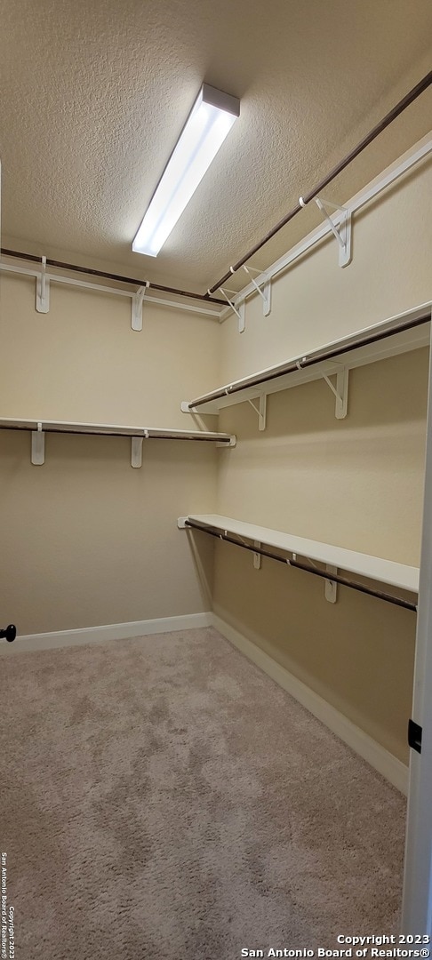 walk in closet with carpet flooring