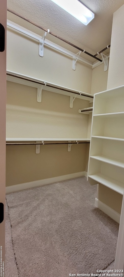 walk in closet featuring light carpet