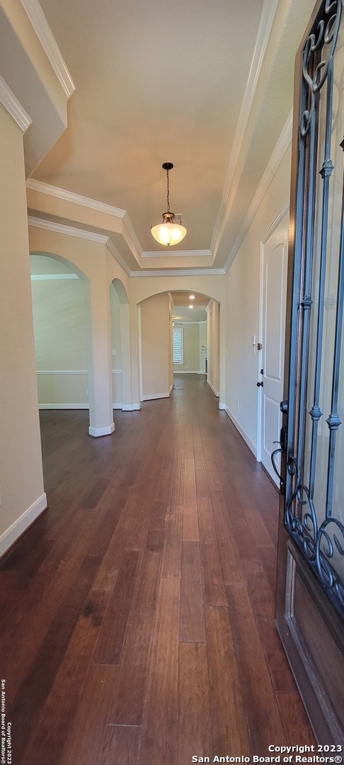 interior space featuring a raised ceiling, dark wood-type flooring, and ornamental molding