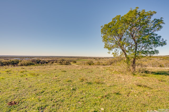 view of local wilderness featuring a rural view