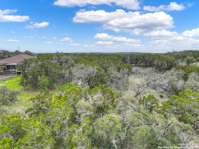 Listing photo 3 for 3111 Summit Dr, New Braunfels TX 78132