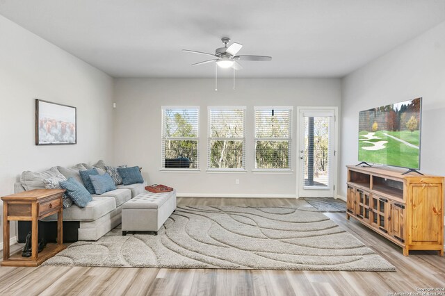 living room with ceiling fan and light wood-type flooring