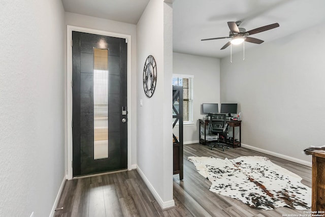 foyer featuring ceiling fan and dark hardwood / wood-style flooring