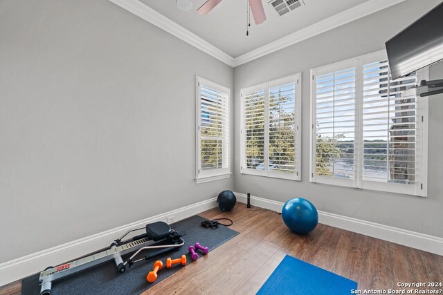 workout room featuring ornamental molding, wood-type flooring, and ceiling fan