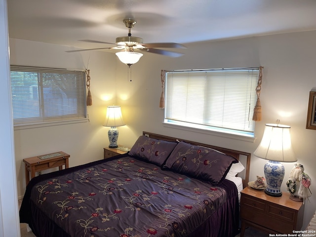 bedroom with ceiling fan