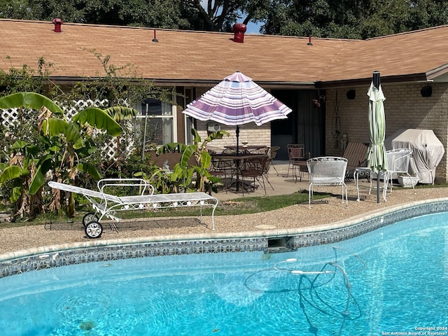 view of swimming pool with a patio