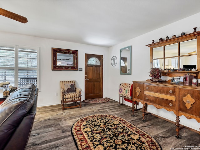 foyer entrance with hardwood / wood-style floors and ceiling fan