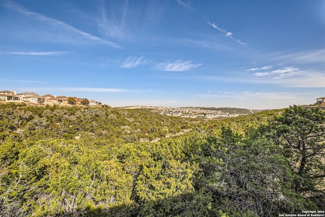 view of mountain feature