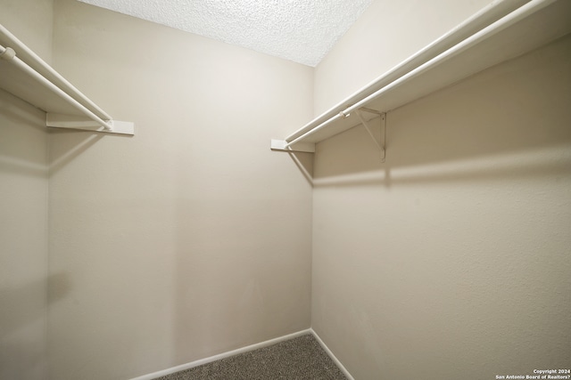 walk in closet featuring carpet floors