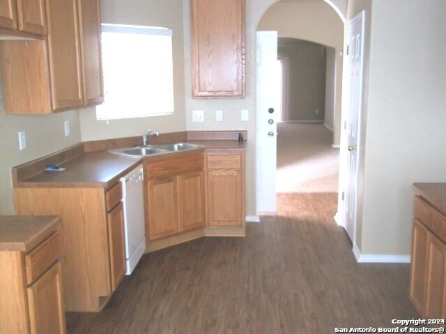 kitchen with sink, dark wood-type flooring, and dishwasher