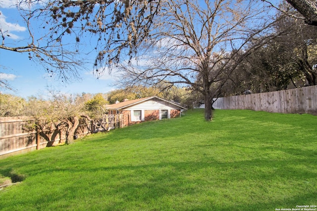 view of yard