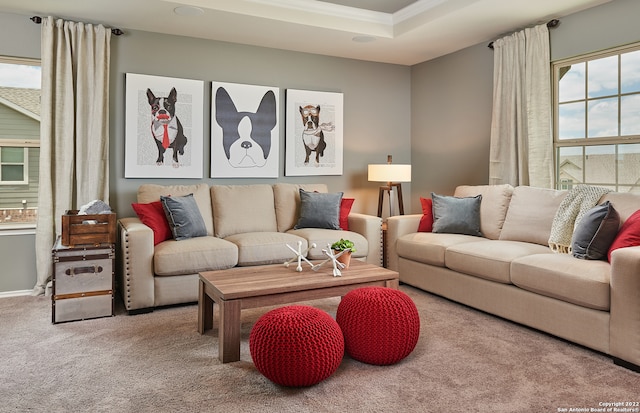 carpeted living room with a tray ceiling and ornamental molding