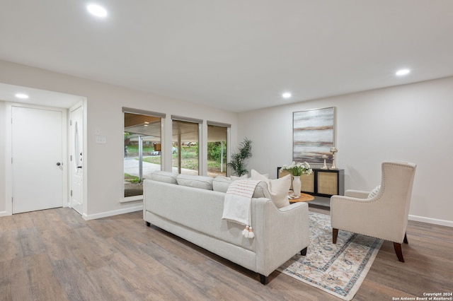 living room with hardwood / wood-style flooring