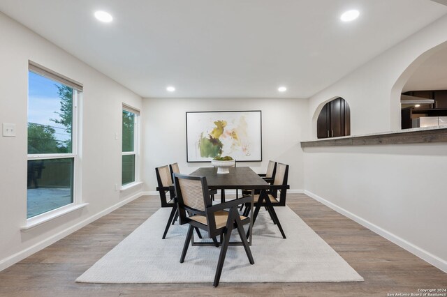 living room with light hardwood / wood-style floors