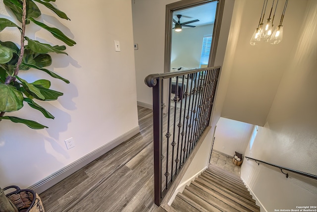 stairs with ceiling fan and dark hardwood / wood-style flooring