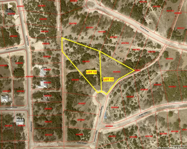 34730 Deeanne Valley Trl, Bulverde, TX 78163