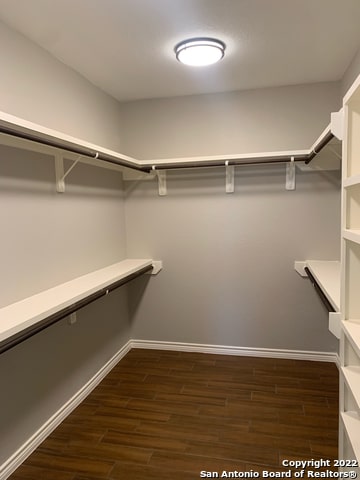 spacious closet featuring dark hardwood / wood-style flooring