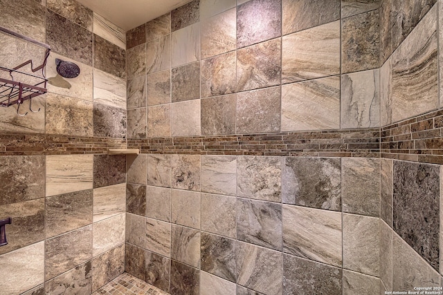 interior details featuring tiled shower