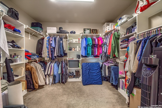 spacious closet with light colored carpet