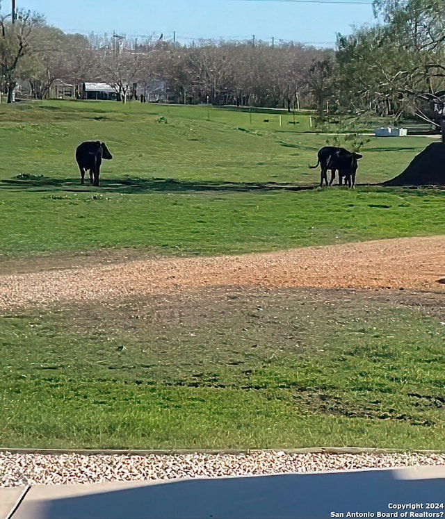 view of home's community featuring a rural view and a yard