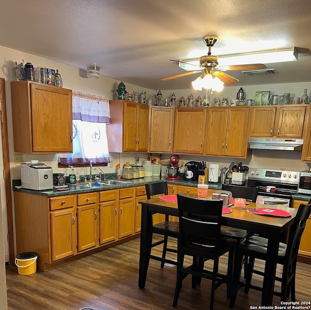 kitchen with ceiling fan, dark wood-type flooring, appliances with stainless steel finishes, and sink