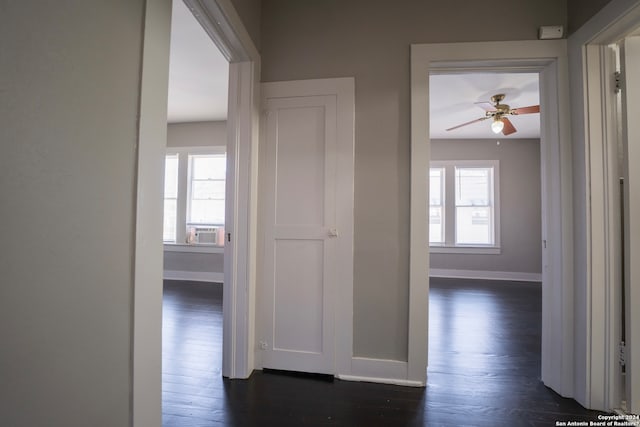 hallway with a healthy amount of sunlight and dark hardwood / wood-style floors