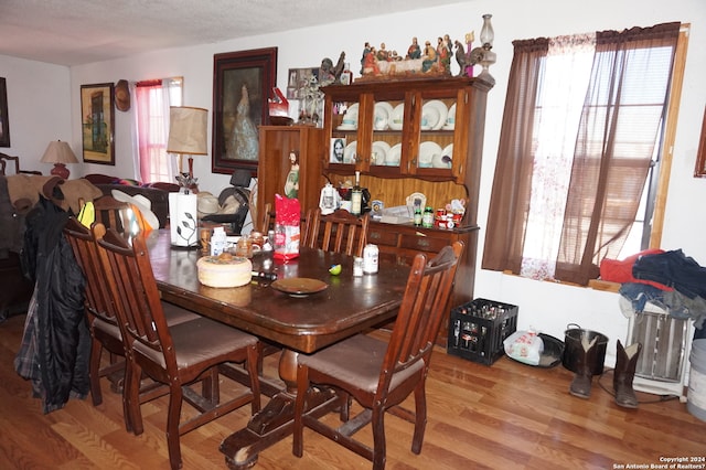 dining space featuring light hardwood / wood-style flooring and a healthy amount of sunlight