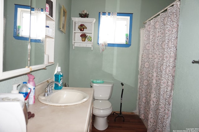 bathroom featuring plenty of natural light, large vanity, toilet, and wood-type flooring