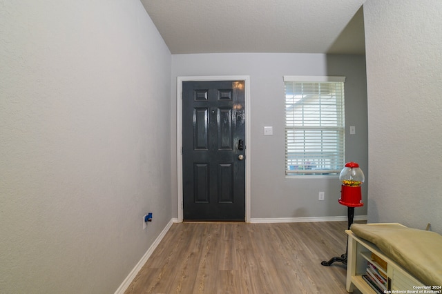 foyer entrance featuring hardwood / wood-style floors