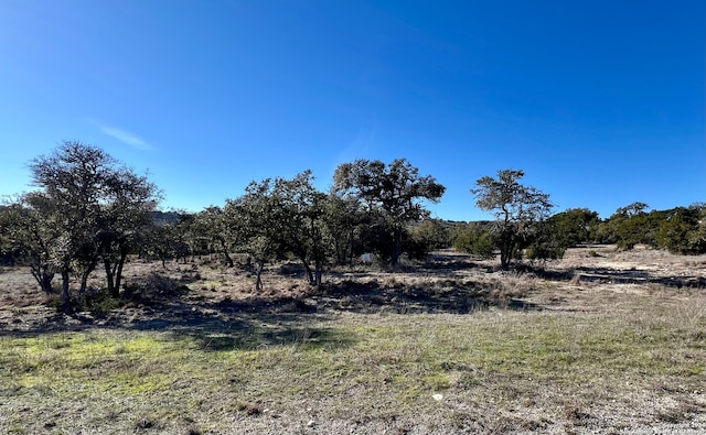 LOT74 Sky View Ct, Blanco TX, 78606 land for sale