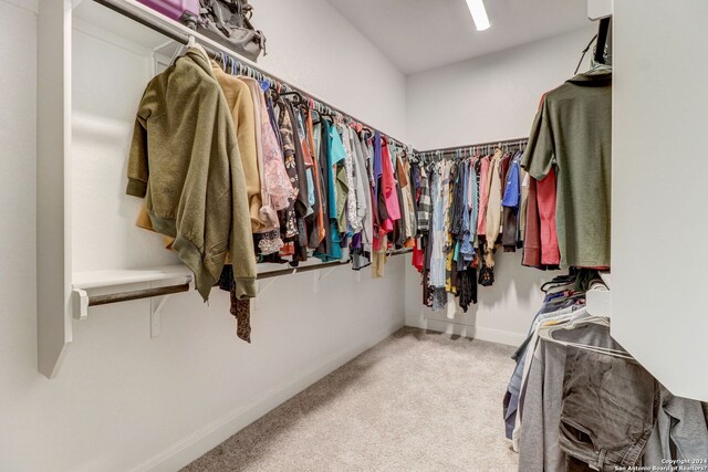 walk in closet with light carpet