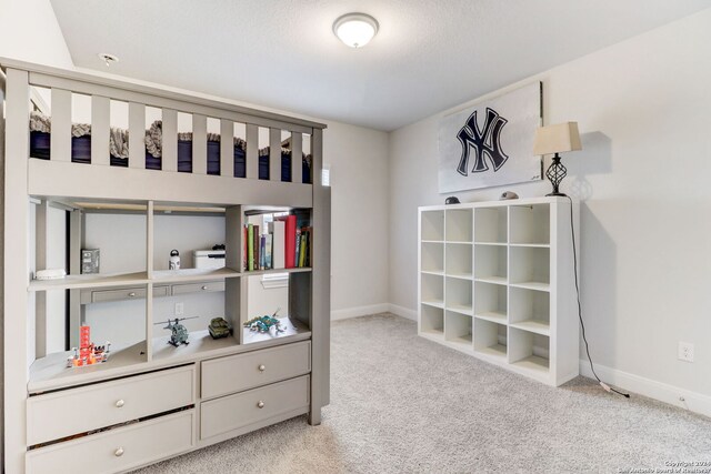 interior space with light colored carpet